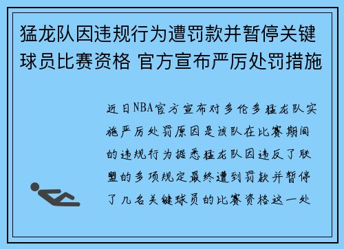 猛龙队因违规行为遭罚款并暂停关键球员比赛资格 官方宣布严厉处罚措施